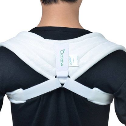 Ảnh của Đai số 8 Orbe