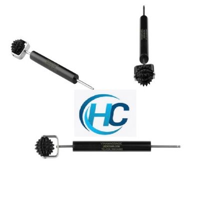 Ảnh của Lăn cầu gai đơn lớn